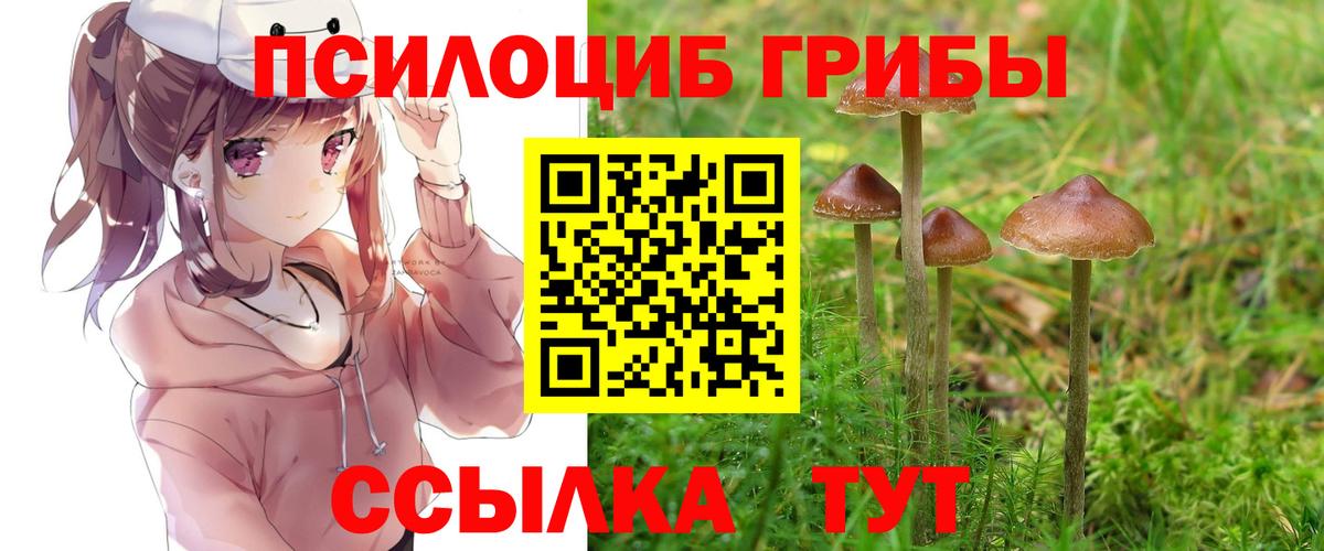 Галлюциногенные грибы MAGIC MUSHROOMS Костомукша
