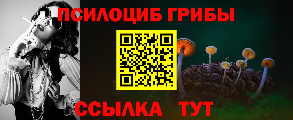 Галлюциногенные грибы Psilocybine cubensis  Псилоцибиновые грибы Cubensis  Костомукша  Вход с VPN 